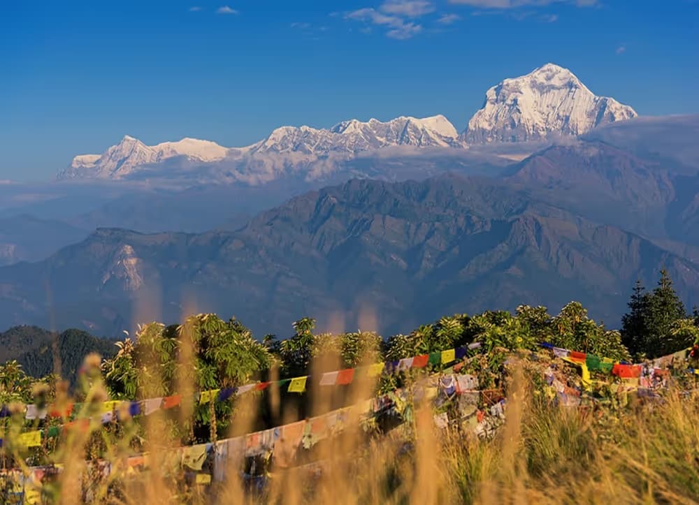 Ghorepani-Poon Hill Trek